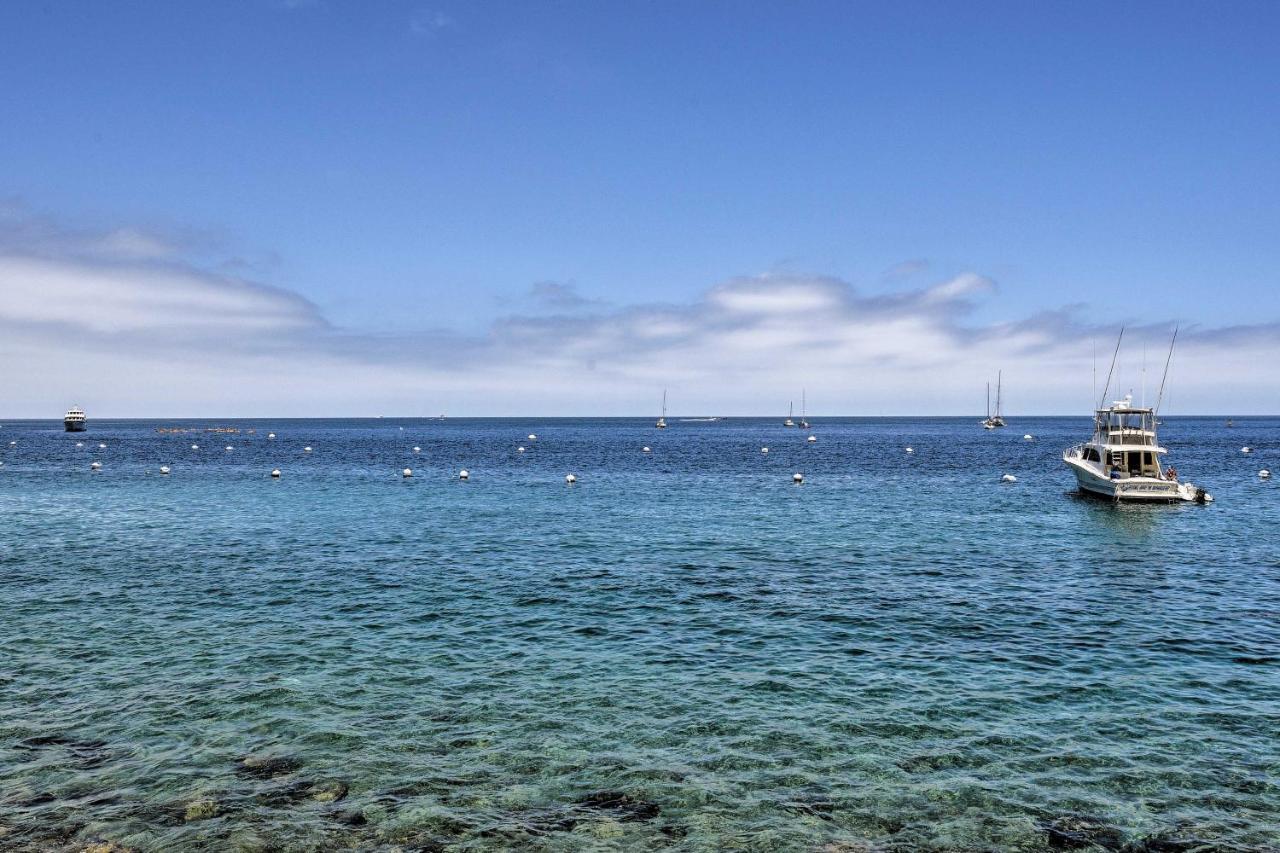Catalina Island Cottage - Walk To Main St And Beach! 아발론 외부 사진